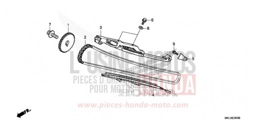 CATENA DISTRIBUZIONE/TENDICATENA NC750SAK di 2019